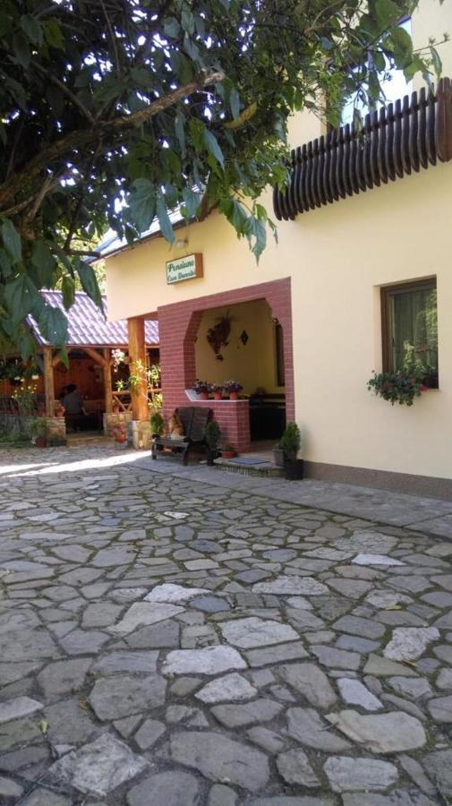 Pensiunea Casa Domnitei *