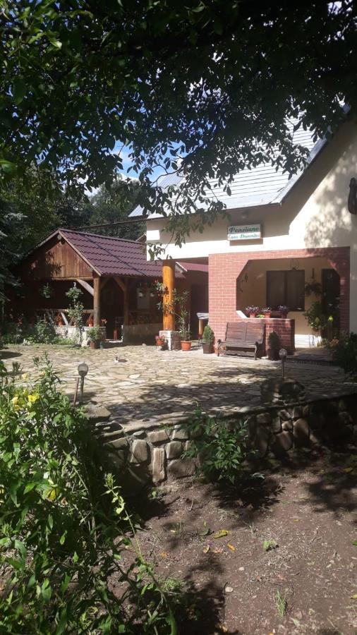 Gasthof Pensiunea Casa Domnitei